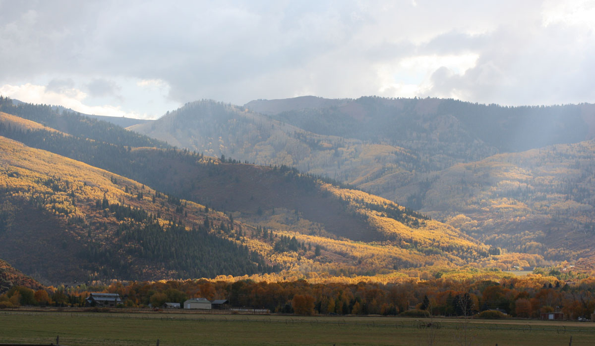 Bernese Fall